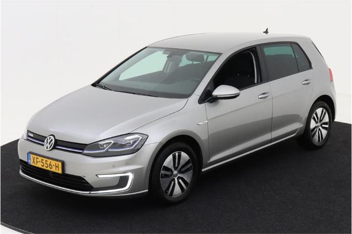 VOLKSWAGEN GOLF 2019 wvwzzzauzk8902813