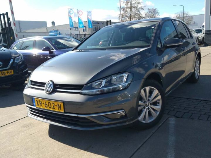 VOLKSWAGEN GOLF 2019 wvwzzzauzkp064232