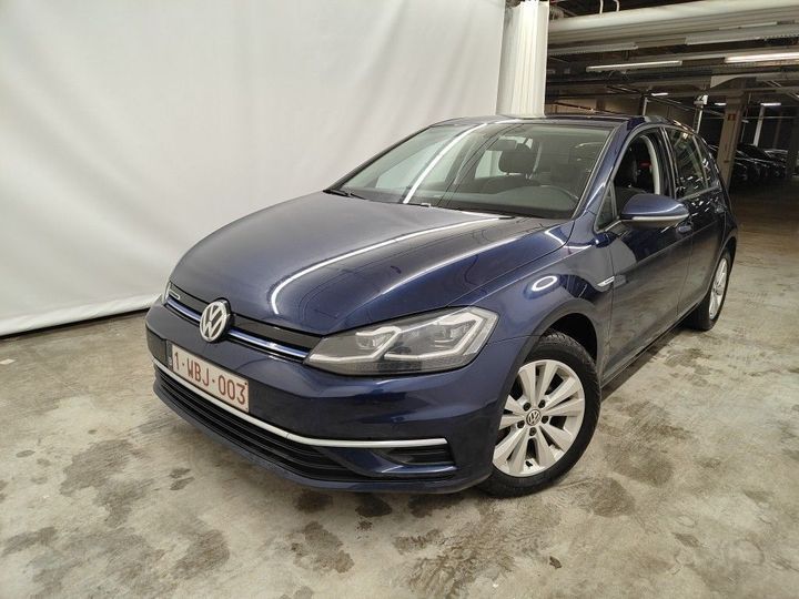 VOLKSWAGEN GOLF 2019 wvwzzzauzkp072710