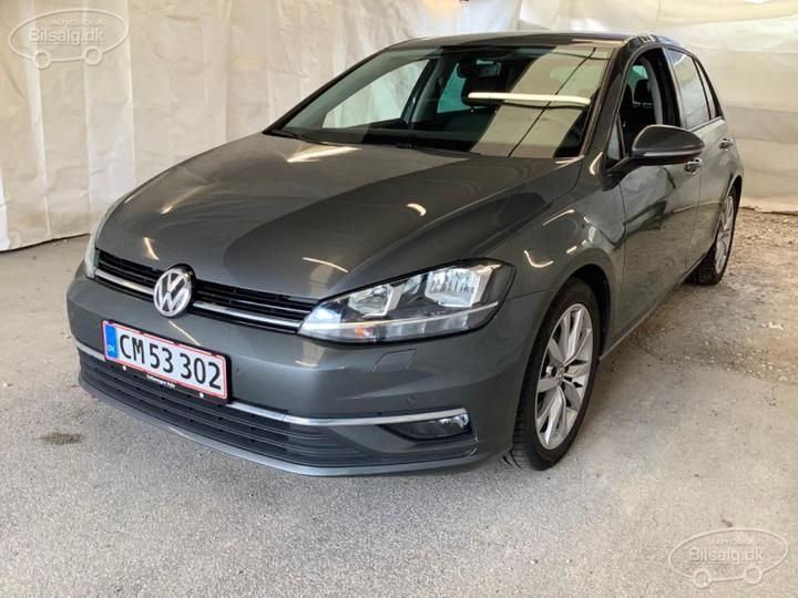 VOLKSWAGEN GOLF 2019 wvwzzzauzkp074831