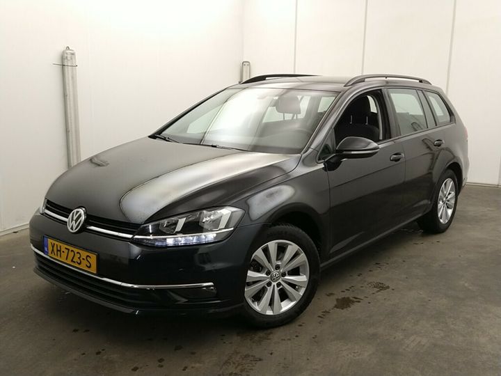 VOLKSWAGEN GOLF 2019 wvwzzzauzkp522613