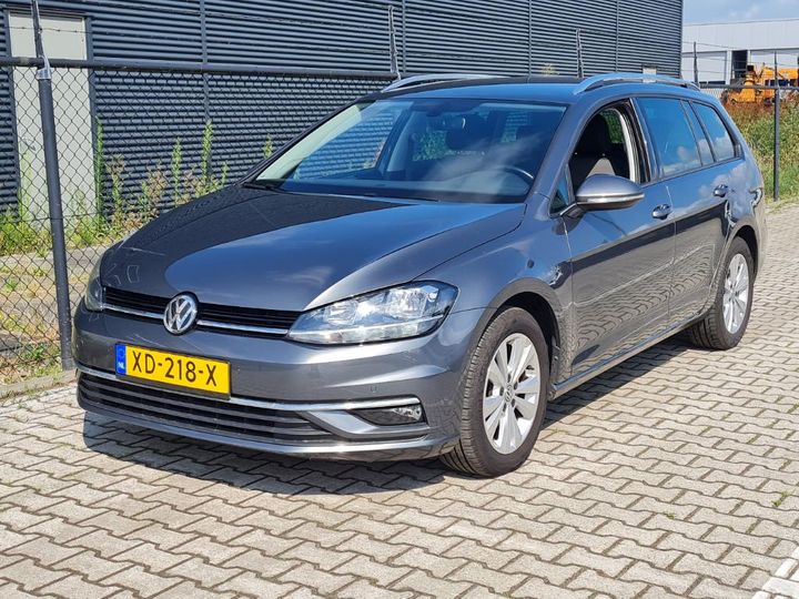 VOLKSWAGEN GOLF 2019 wvwzzzauzkp525232