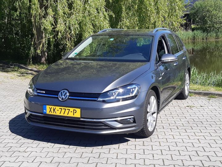 VOLKSWAGEN GOLF 2019 wvwzzzauzkp532276