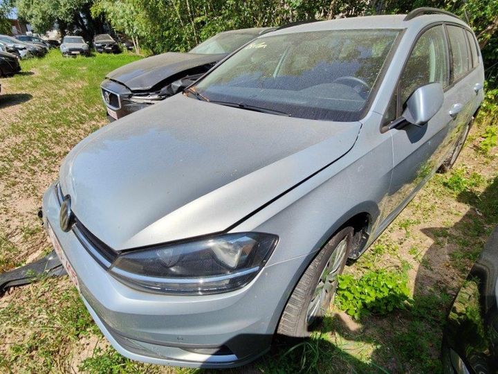 VOLKSWAGEN GOLF 2019 wvwzzzauzkp539477