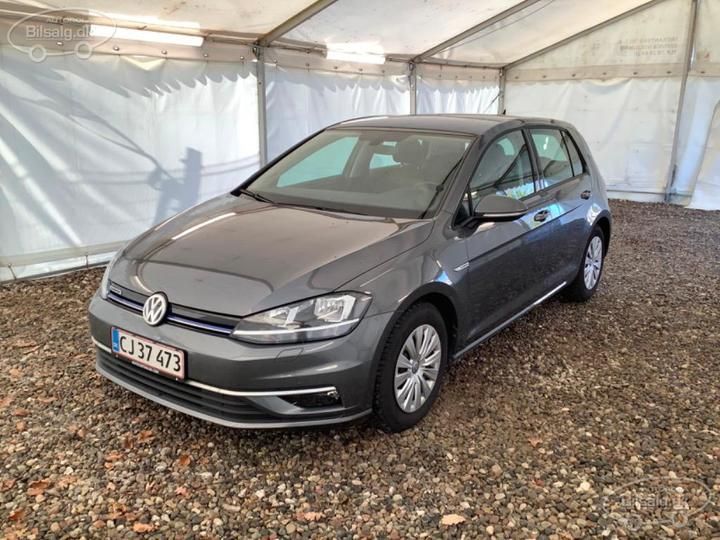 VOLKSWAGEN GOLF 2019 wvwzzzauzkw029071