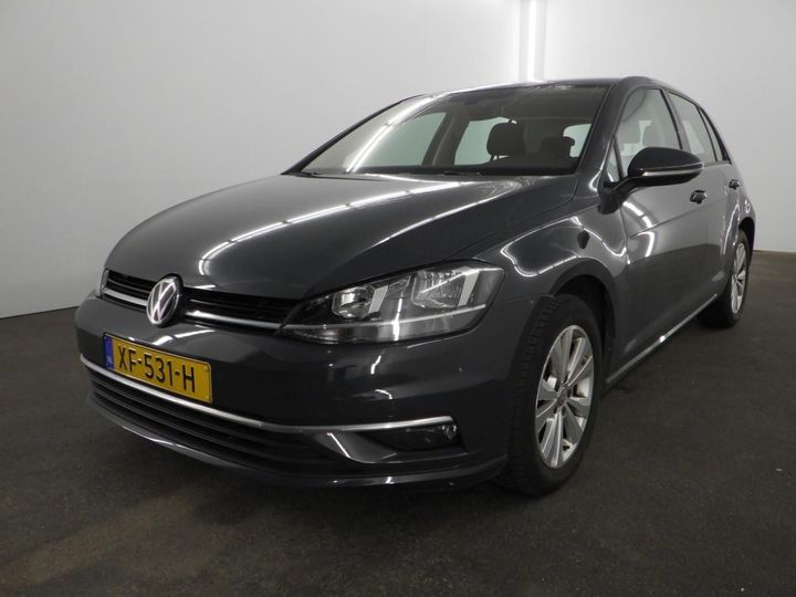 VOLKSWAGEN GOLF 2019 wvwzzzauzkw055779