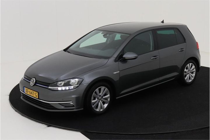 VOLKSWAGEN GOLF 2019 wvwzzzauzkw071758