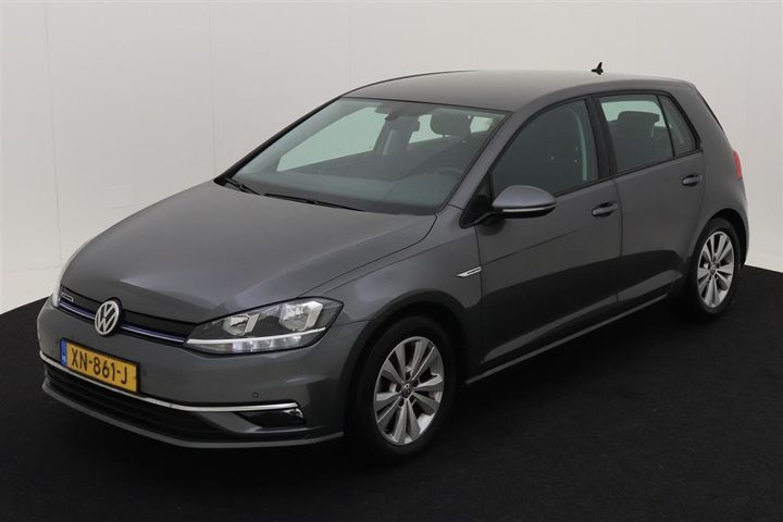 VOLKSWAGEN GOLF 2019 wvwzzzauzkw101242