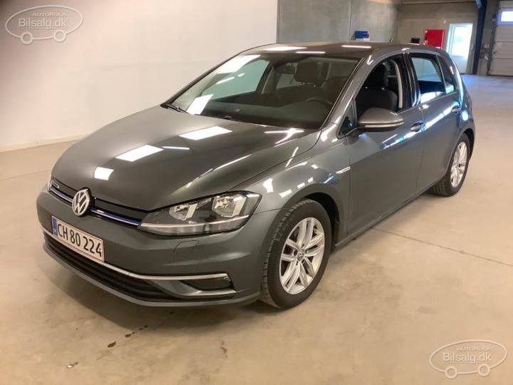 VOLKSWAGEN GOLF 2019 wvwzzzauzkw103232