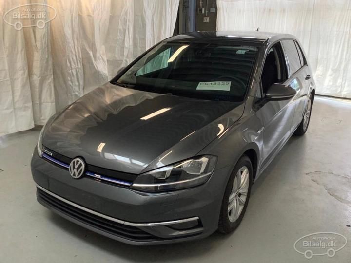 VOLKSWAGEN GOLF 2019 wvwzzzauzkw103492