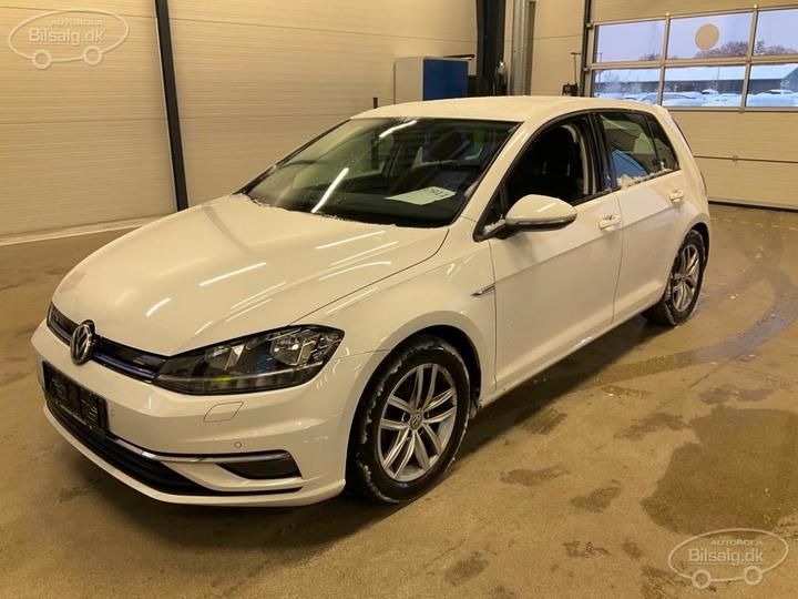 VOLKSWAGEN GOLF 2019 wvwzzzauzkw105970