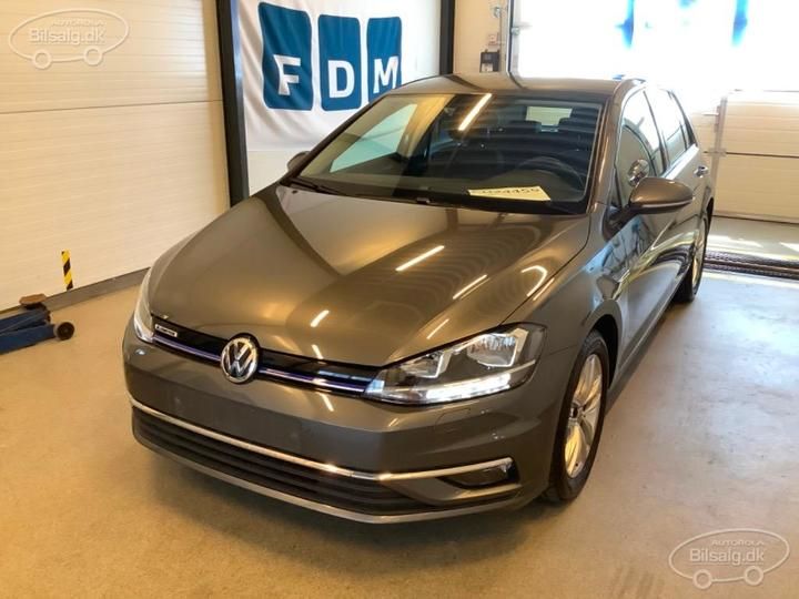 VOLKSWAGEN GOLF 2019 wvwzzzauzkw106311