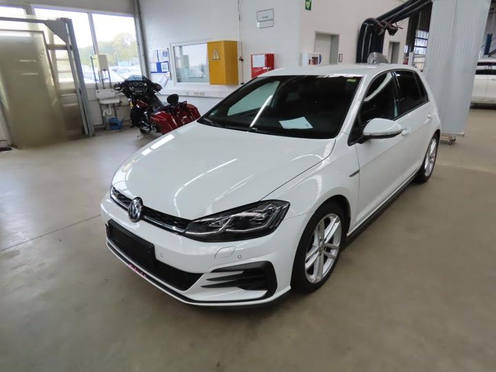 VOLKSWAGEN GOLF 2019 wvwzzzauzkw123625