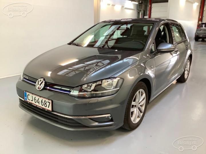 VOLKSWAGEN GOLF 2019 wvwzzzauzkw169048