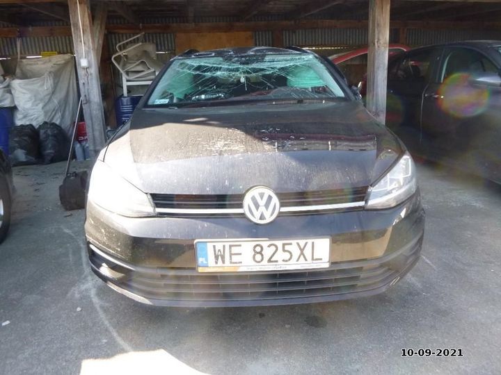 VOLKSWAGEN GOLF 2019 wvwzzzauzlp506093