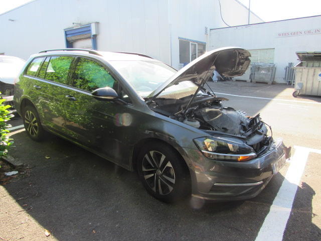 VOLKSWAGEN GOLF 2019 wvwzzzauzlp513792