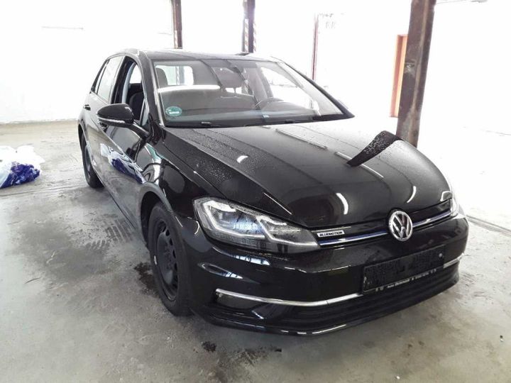 VOLKSWAGEN GOLF 2019 wvwzzzauzlw001283