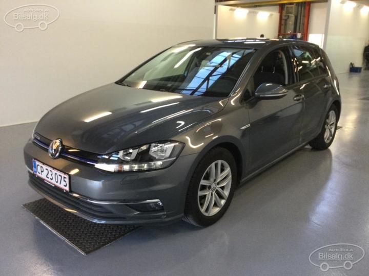 VOLKSWAGEN GOLF 2019 wvwzzzauzlw018292