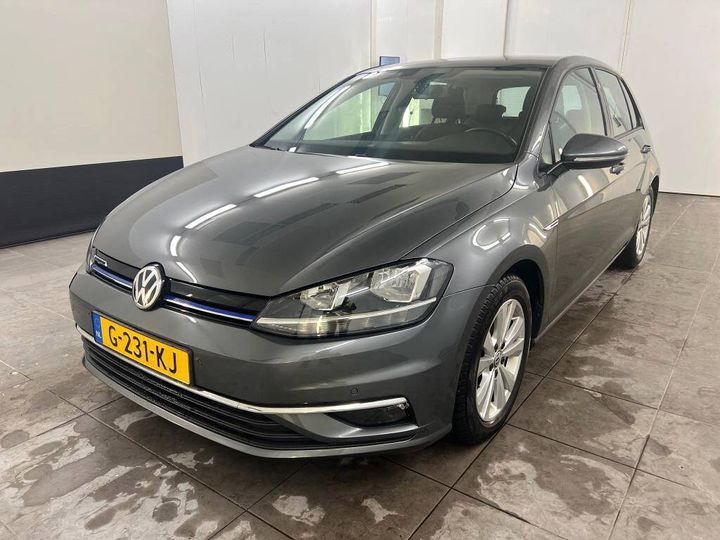 VOLKSWAGEN GOLF 2019 wvwzzzauzlw041018