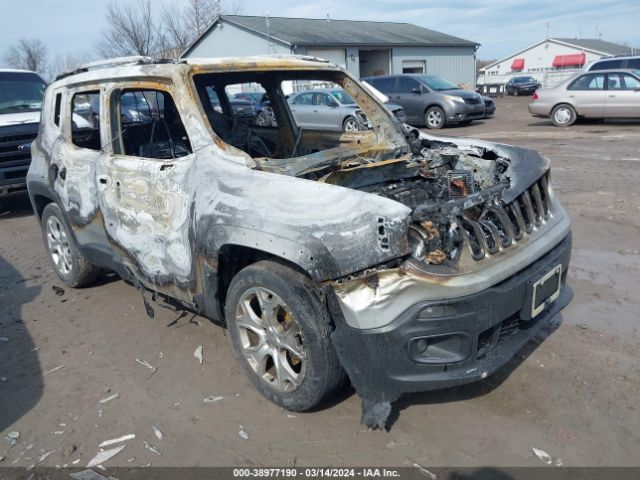 JEEP RENEGADE 2015 zaccjadt0fpb75887