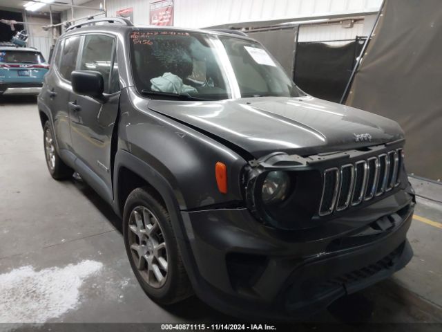 JEEP RENEGADE 2019 zacnjaab1kpk45456