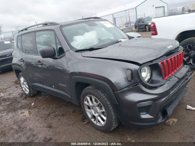 JEEP RENEGADE 2019 zacnjaab2lpl14026