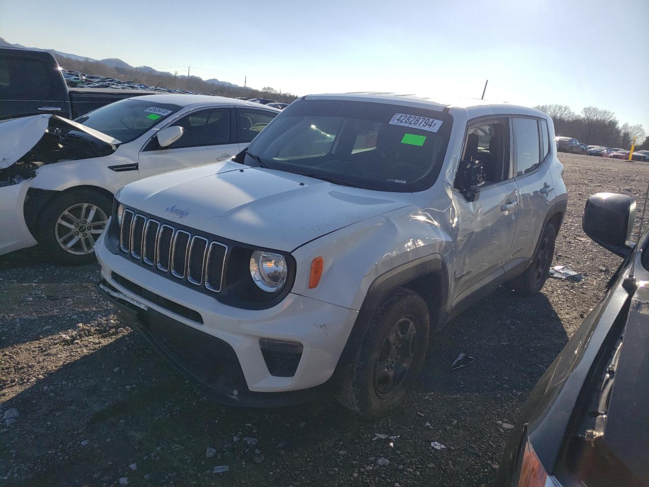 JEEP RENEGADE 2020 zacnjaab4lpl01729