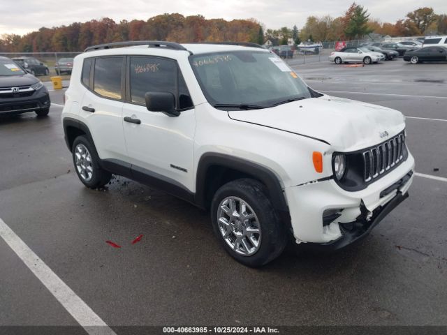 JEEP RENEGADE 2019 zacnjbab0kpk67924