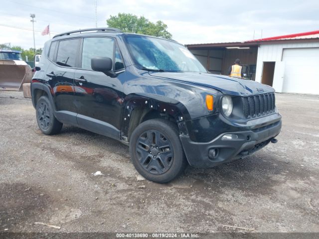 JEEP RENEGADE 2019 zacnjbab3kpk20323