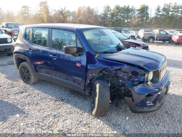 JEEP RENEGADE 2019 zacnjbab3kpk73927