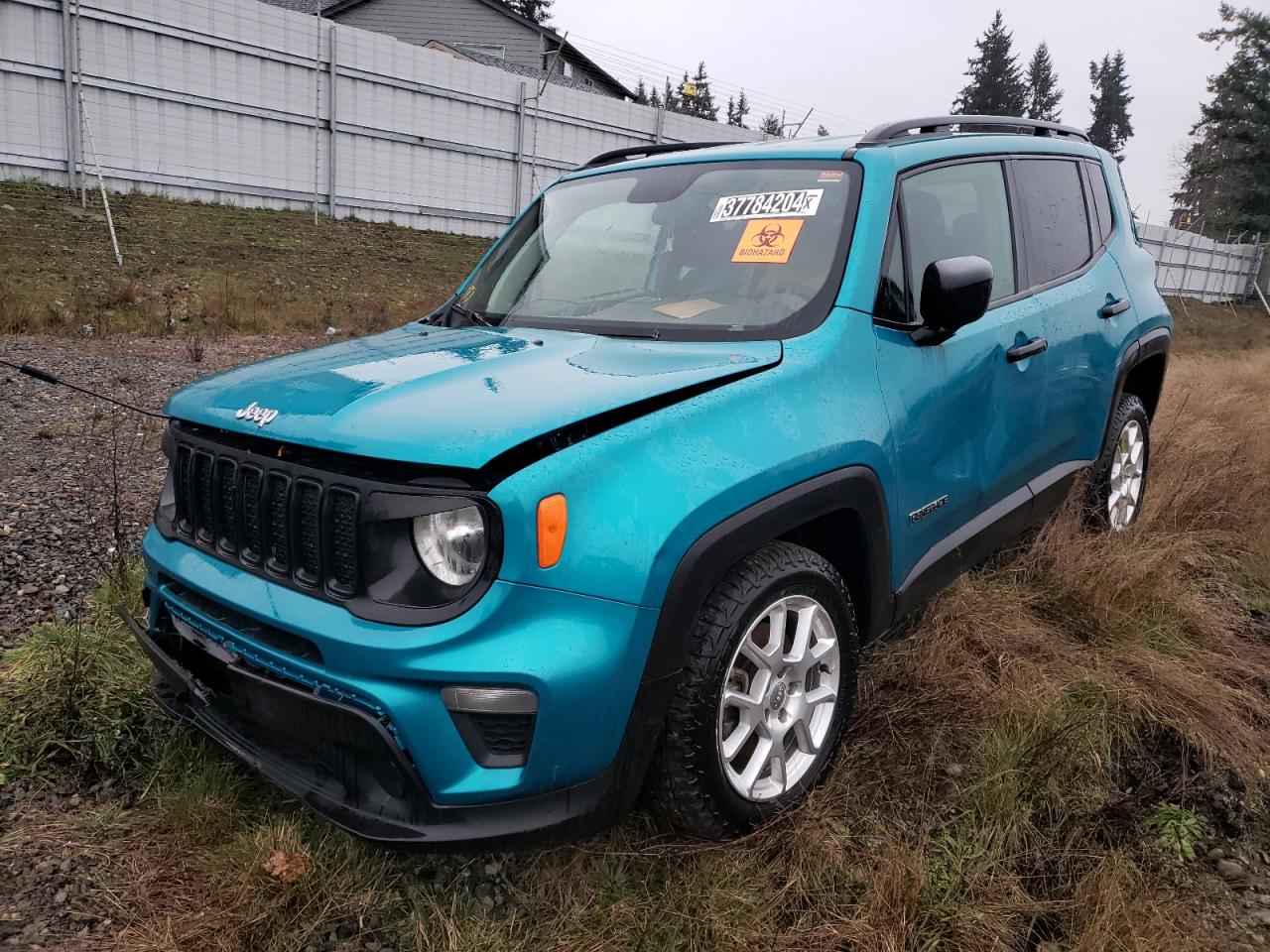 JEEP RENEGADE 2020 zacnjbabxlpl85710