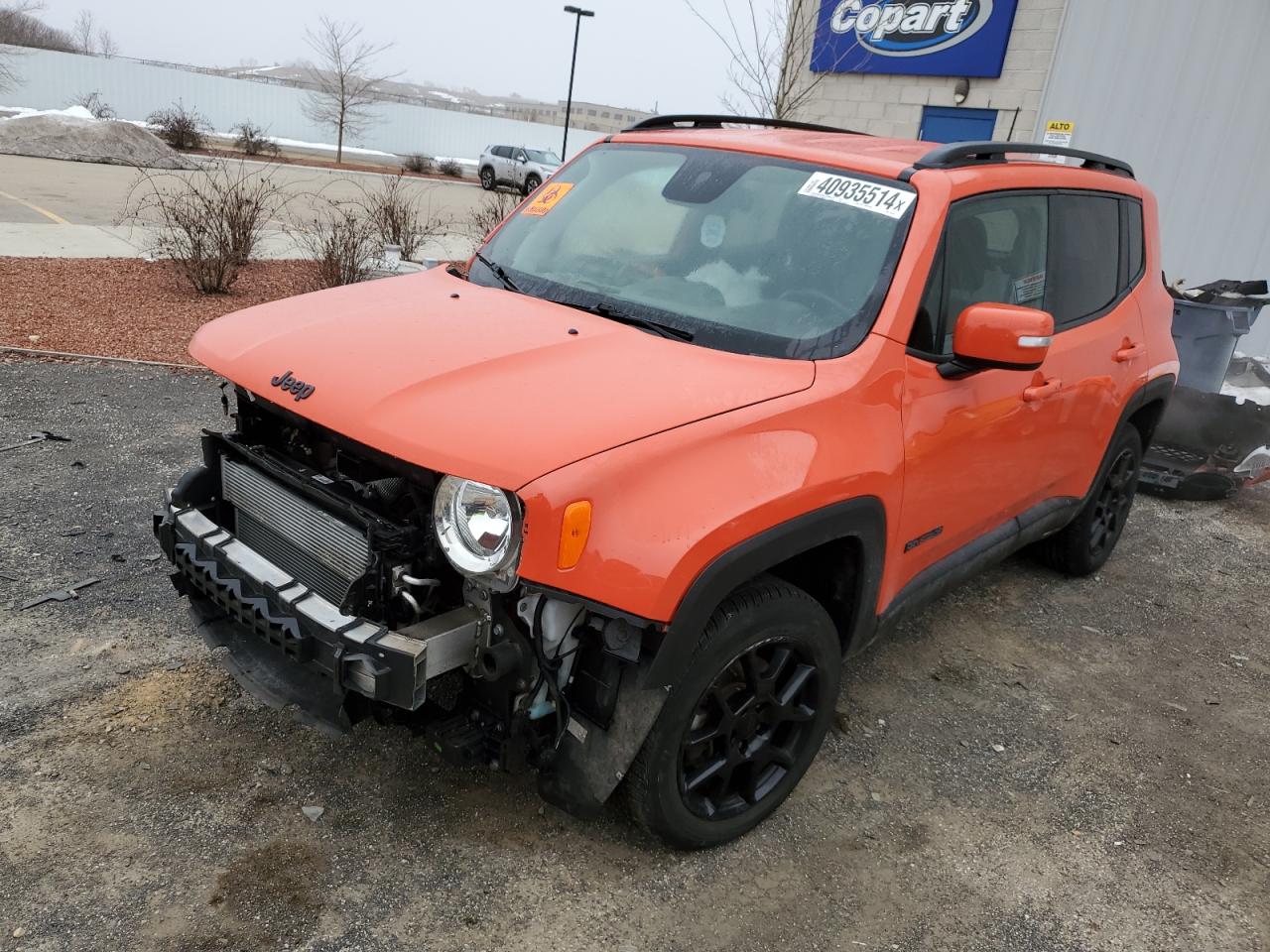 JEEP RENEGADE 2020 zacnjbbb5lpl33416