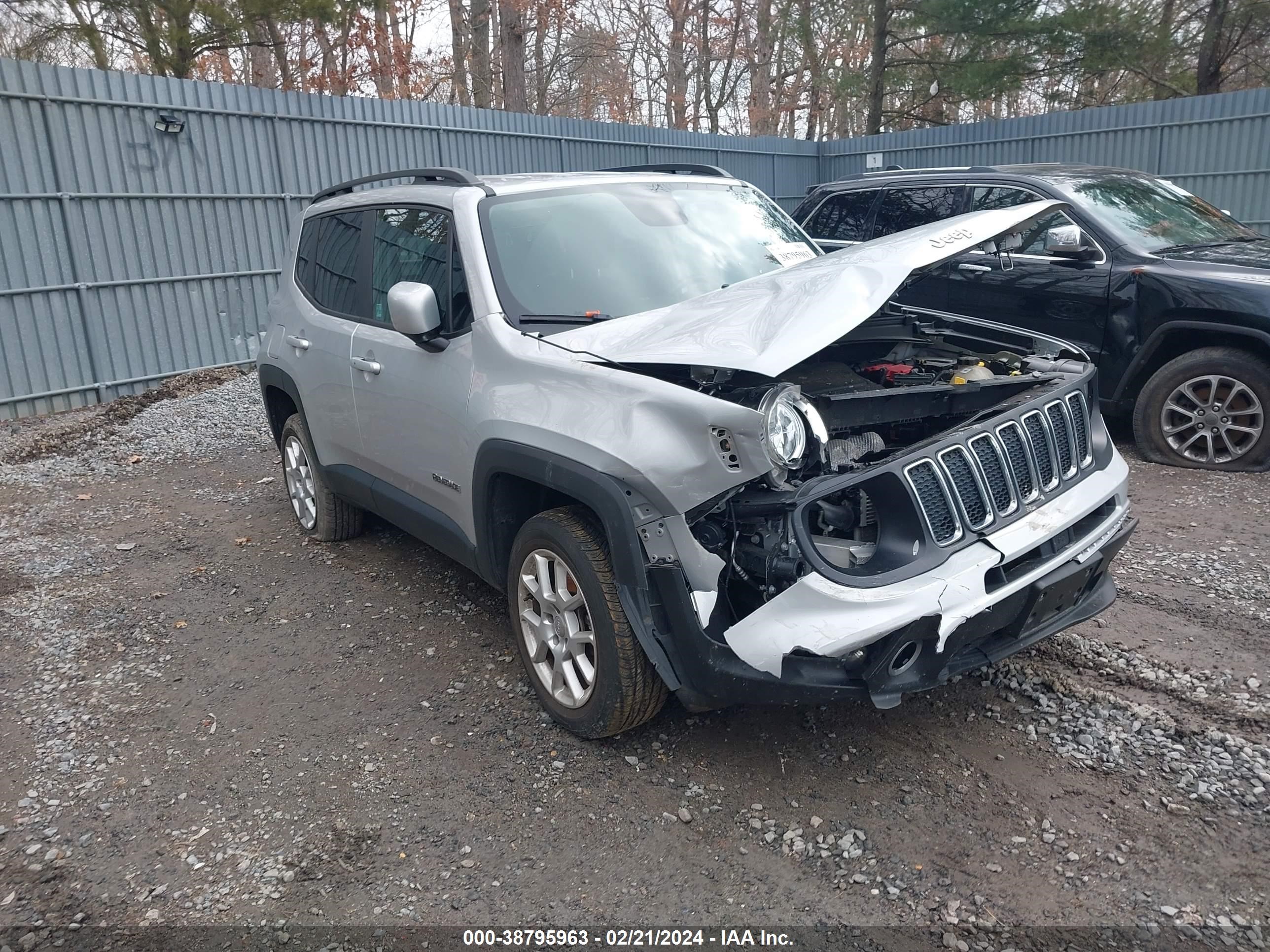 JEEP RENEGADE 2020 zacnjbbb9lpl98267