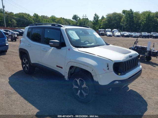 JEEP RENEGADE 2019 zacnjbc10kpk80886