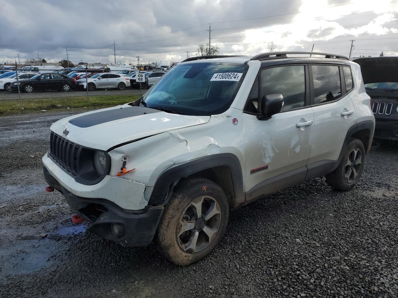 JEEP RENEGADE 2019 zacnjbc14kpj97204