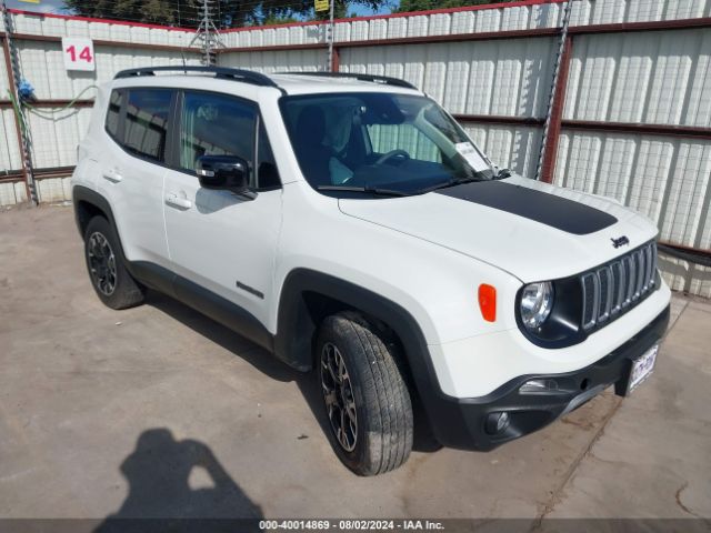 JEEP RENEGADE 2023 zacnjdb15ppp30407