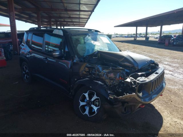 JEEP RENEGADE 2021 zacnjdc19mpm98873