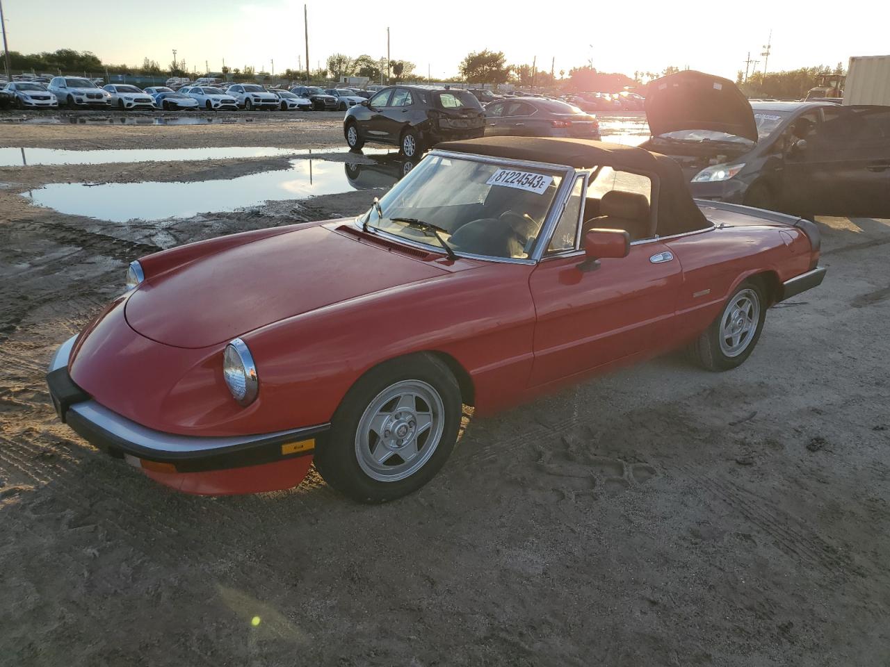 ALFA-ROMEO SPIDER 1989 zarba5586k1066332