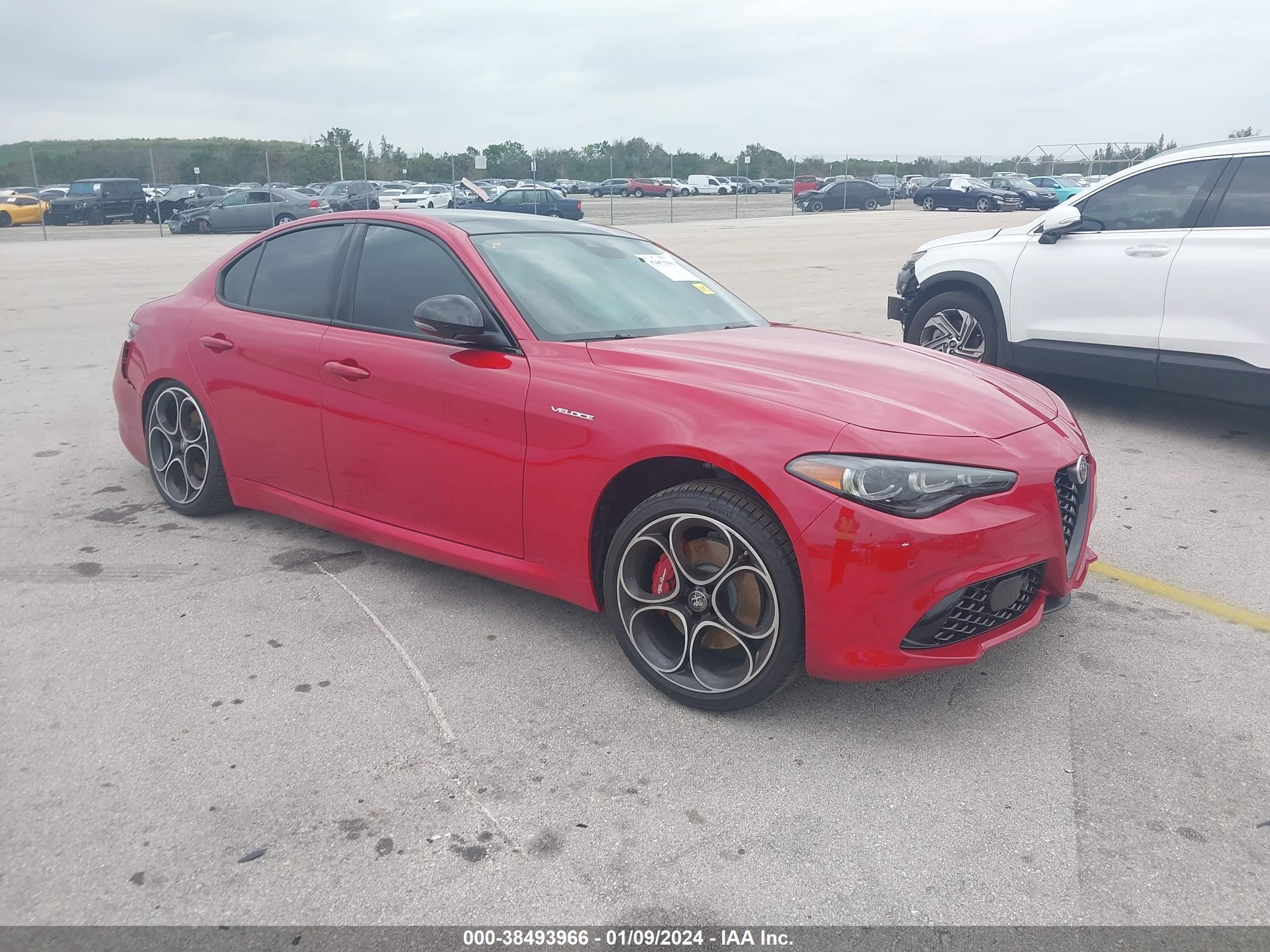 ALFA-ROMEO GIULIA 2024 zarfambnxr7677820