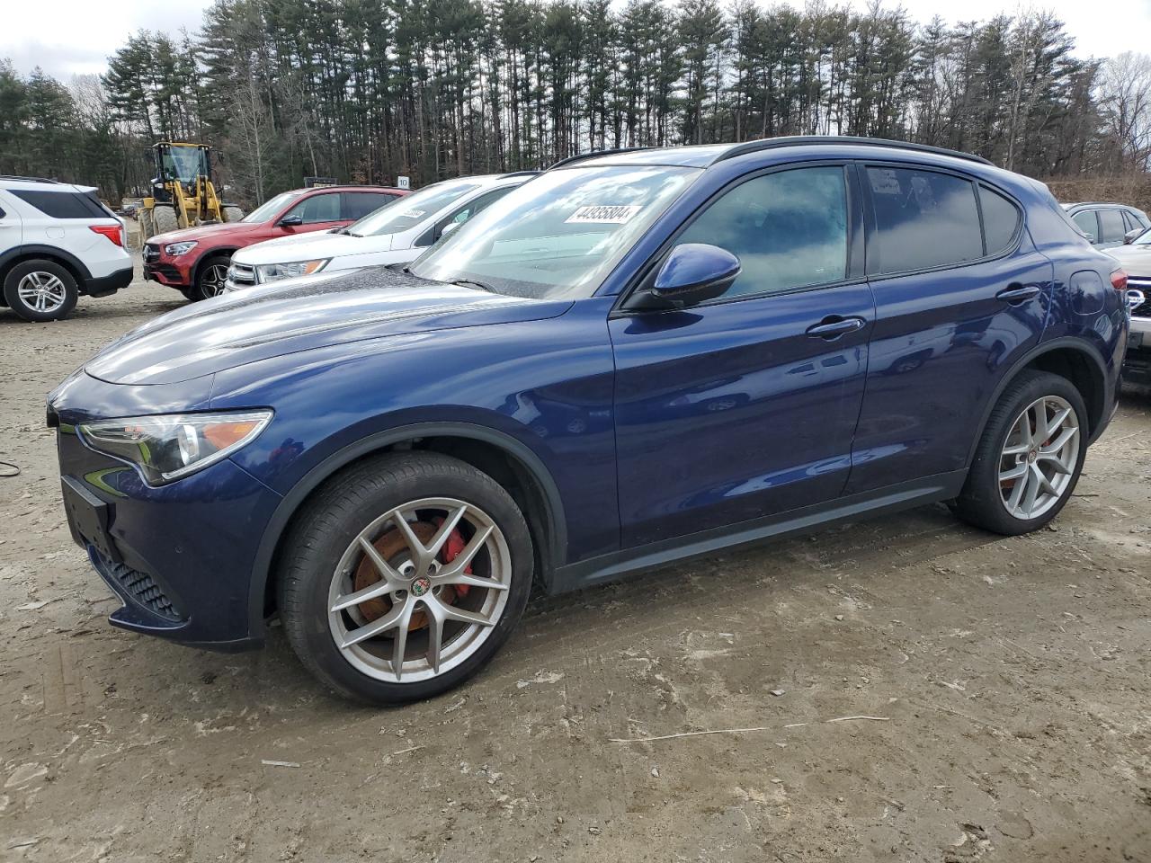 ALFA-ROMEO STELVIO 2018 zasfaknn1j7b90883