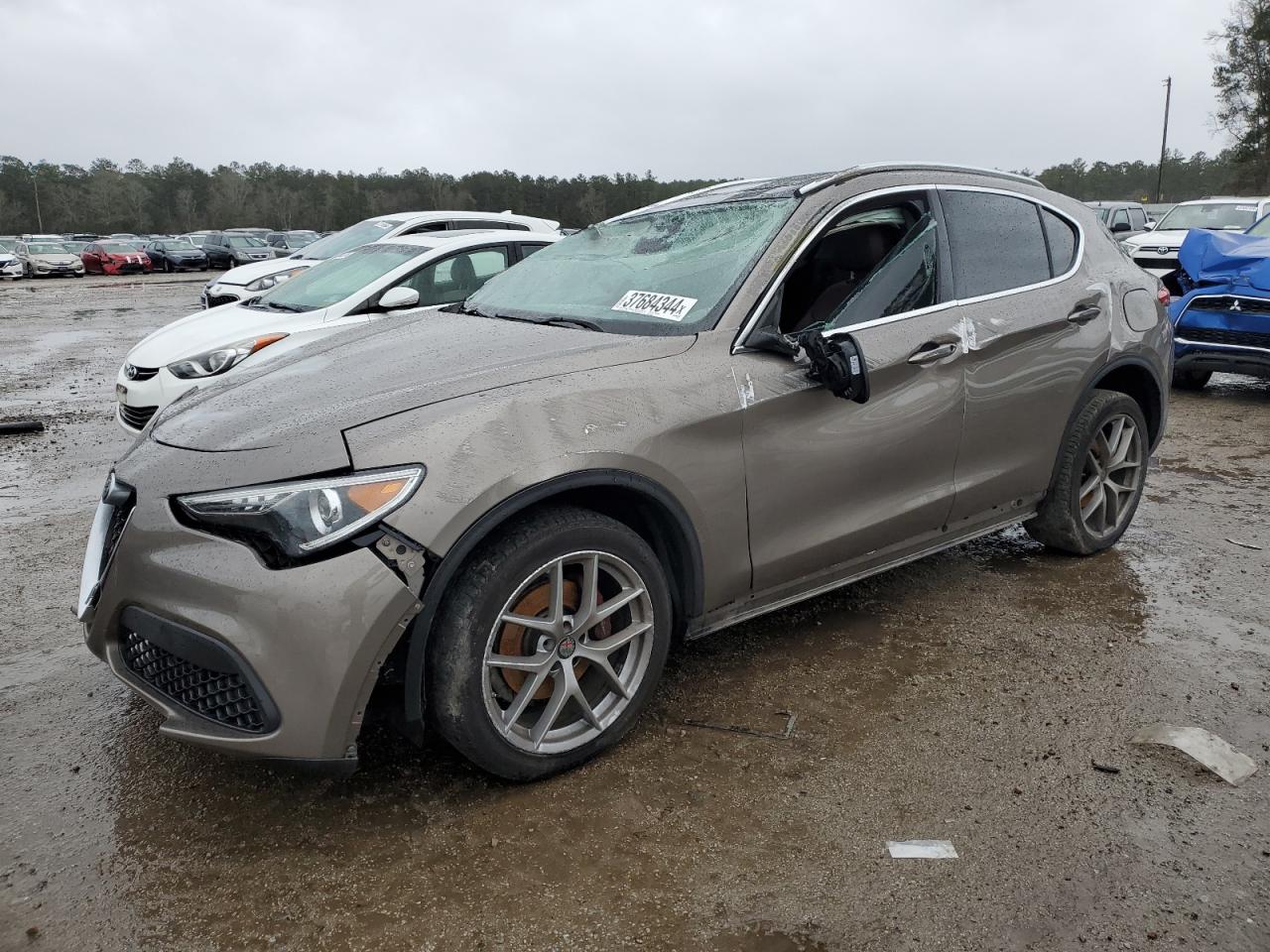 ALFA-ROMEO STELVIO 2019 zaspajan1k7c67080