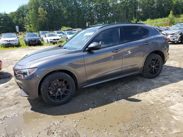 ALFA-ROMEO STELVIO 2020 zaspajan2l7c75951