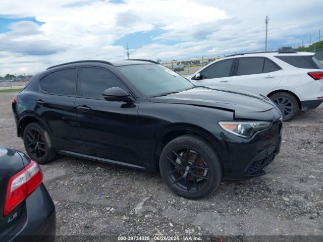 ALFA-ROMEO STELVIO 2021 zaspajan2m7d15091