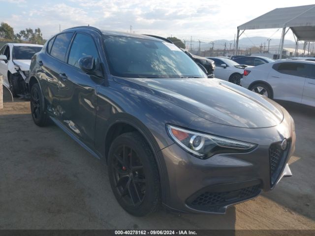 ALFA-ROMEO STELVIO 2020 zaspajan3l7c93925