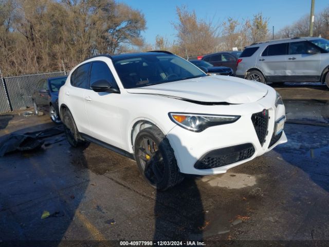 ALFA ROMEO STELVIO 2019 zaspajan4k7c70989