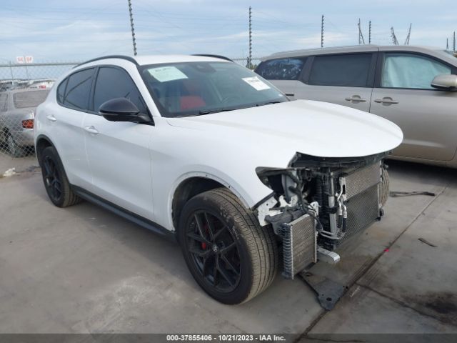 ALFA-ROMEO STELVIO 2020 zaspajan4l7c92850