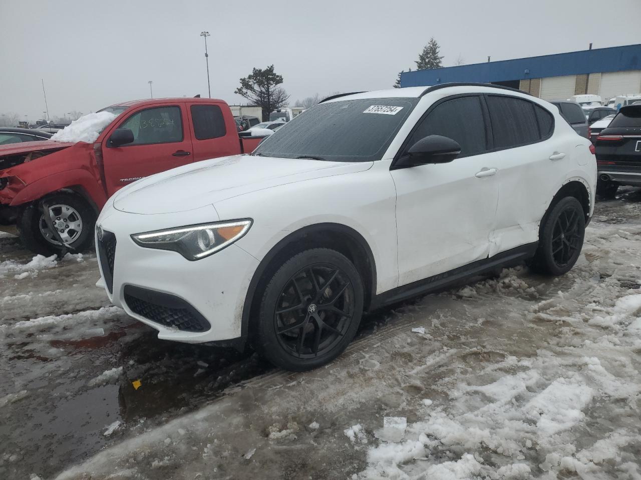 ALFA-ROMEO STELVIO 2021 zaspajan6m7d03333