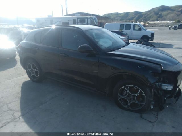 ALFA-ROMEO STELVIO 2022 zaspajan7n7d38108