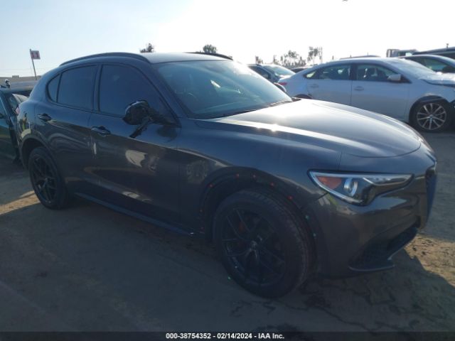 ALFA-ROMEO STELVIO 2020 zaspajan9l7c95694