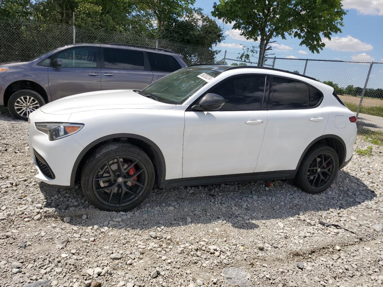 ALFA-ROMEO STELVIO 2019 zaspajanxk7c71175